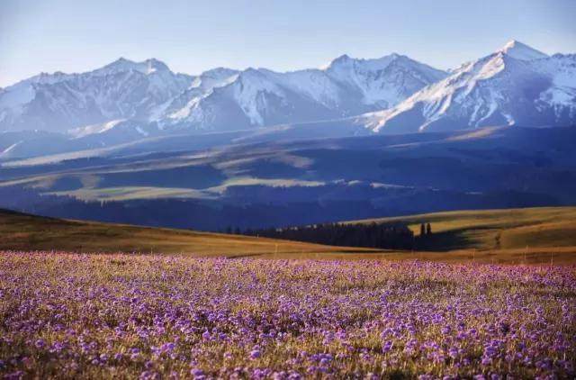 新疆的美，是超越季节的！而伊犁河谷的每一天，都不会辜负！