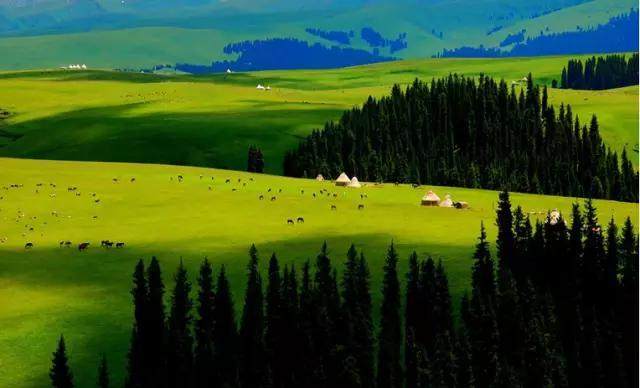 新疆，有一种摄人心魄的美丽！